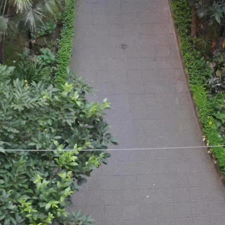 Oda ve Kahvaltı Sergio House Roma