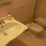 Sergio House 4*